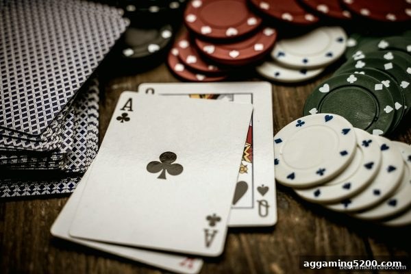 真人斗地主小组互动全解析：博彩公司排名与社交博弈的融合之道